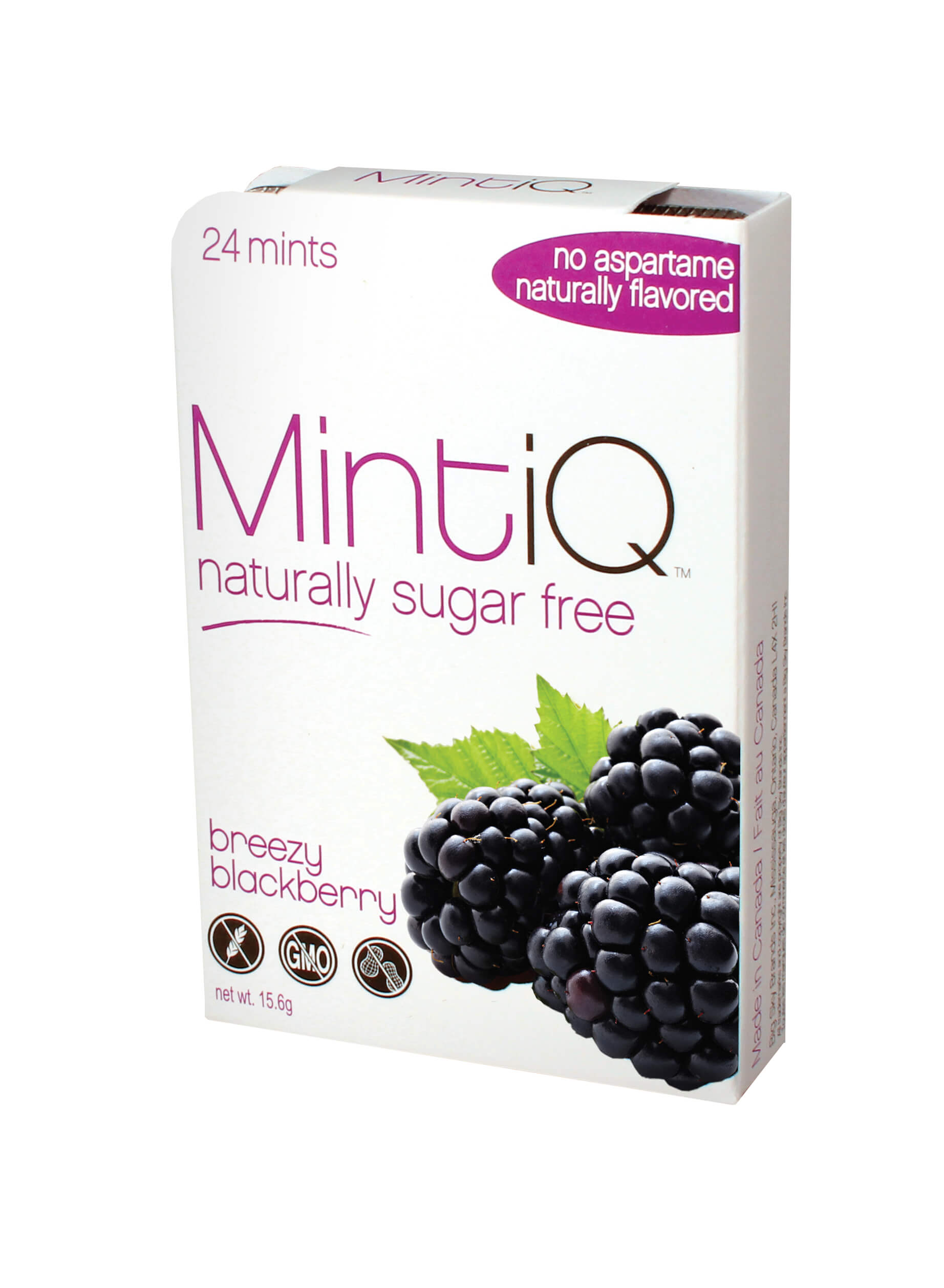 Naturally Sugar Free Mints - Blackberry